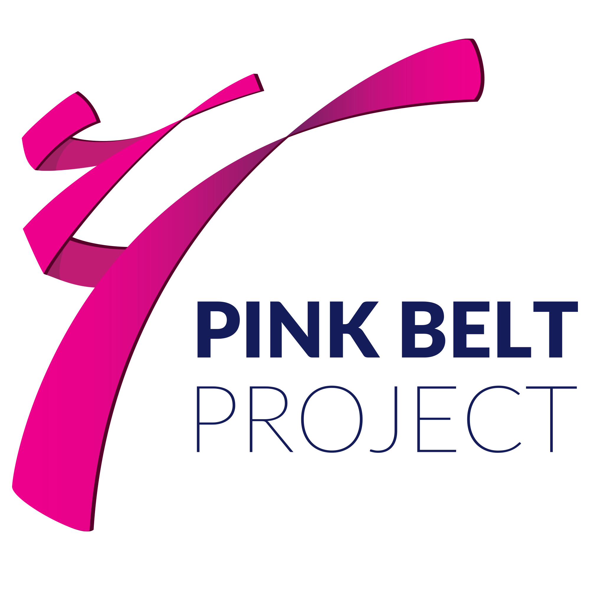 Pink Belt Project